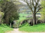 Beautiful walking path out of Stonesfield, Oxfordshire.