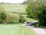 Distant Nettlebed, South Oxfordshire.
