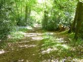 Heycroft Shaw area, South Oxfordshire.