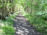 Path to Cookley Green, South Oxfordshire.