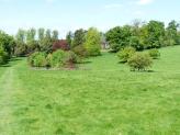 Swyncombe Park, South Oxfordshire.