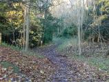 Wendover Woods can be extremely muddy at times.