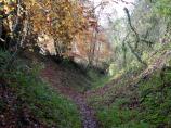 Sunken path in Wendover Woods - England.