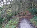 Heading back down to Halton from Wendover Woods.
