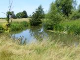 The small River Thame joins the River Thames near Dorchester, Oxfordshire, England.