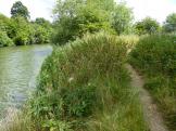 River Thames at Clifton Hampden in Oxfordshire.