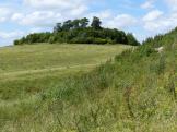 Round Hill - at Wittenham Clumps - in Oxfordshire.